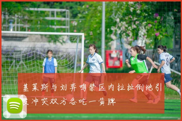 基莱斯与刘弈鸣禁区内拉扯倒地引发冲突双方各吃一黄牌