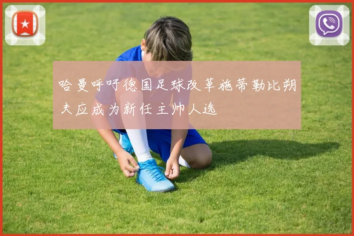 哈曼呼吁德国足球改革施蒂勒比朔夫应成为新任主帅人选