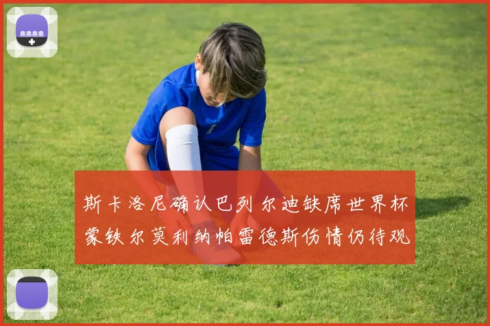 斯卡洛尼确认巴列尔迪缺席世界杯蒙铁尔莫利纳帕雷德斯伤情仍待观察
